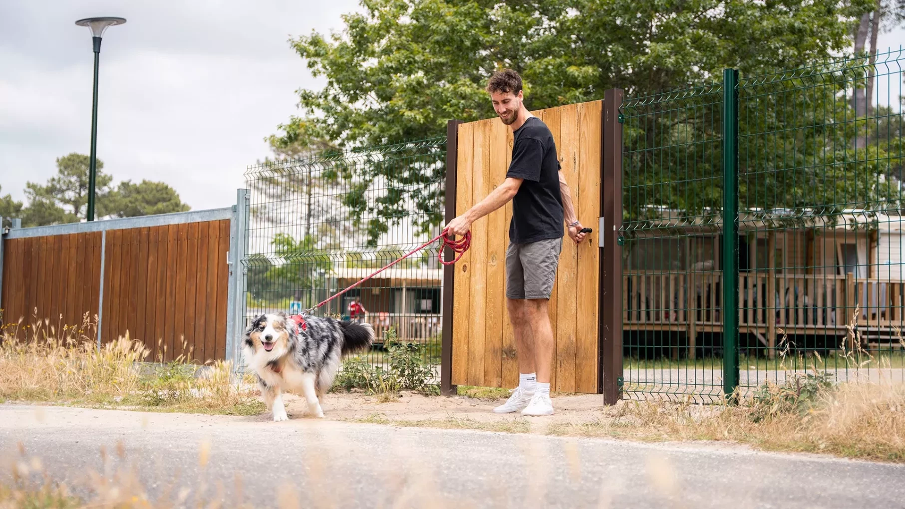 Camping acceptant animaux